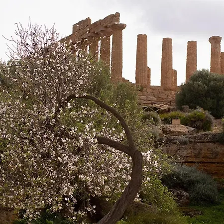 Apartment Il Portoncino ^ Apt.^ Agrigento